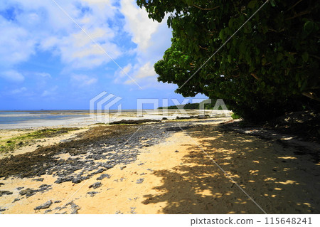 仲夏碧海藍天 7 月 竹富島 07 沖繩八重山群島竹富島 Hoshi Suna Kaiji Beach 115648241