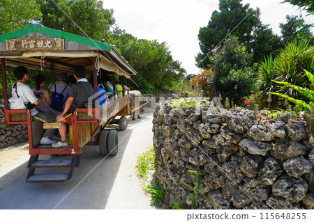 竹富島水牛觀光 7月 竹富島14號水牛車（水牛觀光）、竹富島、沖繩八重山群島 115648255