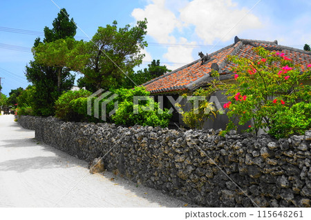 Rows of red-tiled houses and coral stone walls July 18, Taketomi Island Rows of red-tiled houses and coral stone walls Taketomi Island Yaeyama Islands, Okinawa Rows of red-tiled houses and coral stone walls July 18, Taketomi Island Rows of red-tiled houses and coral stone walls Taketomi Island Yaeyama Islands, Okinawa 115648261