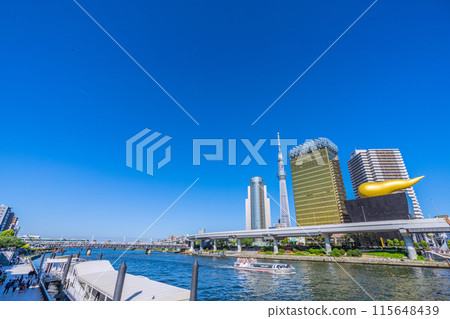 Two Tokyo cityscapes in Japan...View of Tokyo Skytree, airplanes, cherry blossoms, express trains, and more against the blue sky 115648439