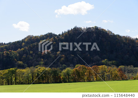 Autumn foliage in Tokachi 115648440