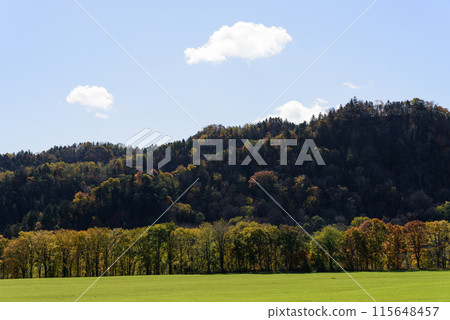 Autumn foliage in Tokachi 115648457