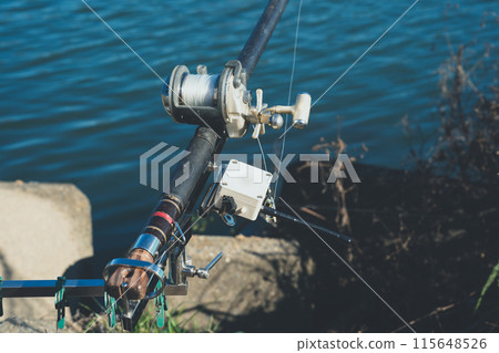 Carp Fishing 115648526