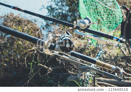 鯉魚釣魚 115648528