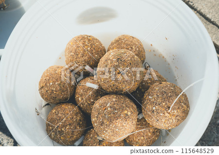 Carp Fishing Carp Fishing 115648529