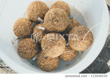 Carp Fishing Carp Fishing 115648530