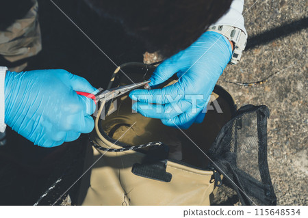 Remove the hook from the small fish 115648534