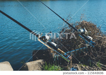 Carp Fishing 115648696