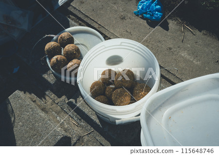 鯉魚釣魚 鯉魚釣魚 115648746