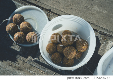 Carp fishing Carp fishing 115648748