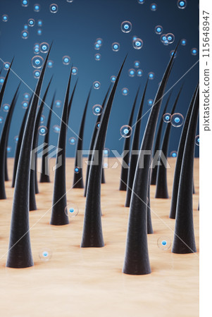 fiber, stem, epidermis 115648947