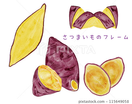 Watercolor autumn harvest sweet potato design frame set material no text 115649058