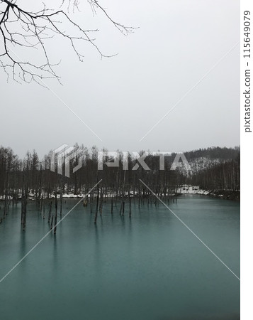 美瑛的藍塘 美瑛的藍塘 115649079