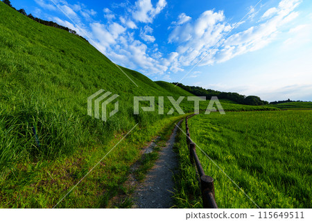 奈良縣與三重縣交界處的曾仁高原的夜景、龜山的緩坡以及岡池南端的散步道② 奈良縣與三重縣交界處的曾仁高原的夜景、龜山的緩坡以及岡池南端的散步道② 115649511