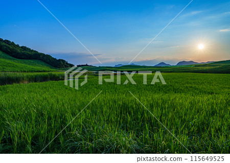 奈良縣和三重縣交界處的索尼高原的傍晚景色 太陽低垂在西邊的高原上，把山腰塗成金黃色。 115649525