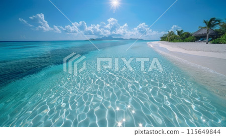 Tropical Beach with Palm Trees 115649844