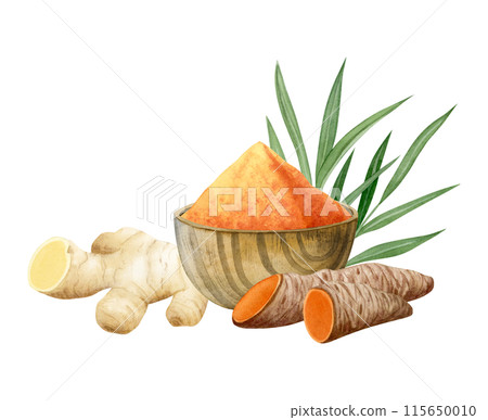 Ginger and turmeric curcuma roots with ground powder in wooden bowl watercolor illustration isolated on white. Cut orange vegetable herb, natural ingredient for cooking clipart 115650010