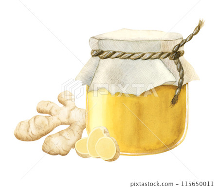 Honey glass jar with ginger roots and slices watercolor illustration clipart in realistic style. Hand drawn organic products for healthy tea and hot winter drinks 115650011