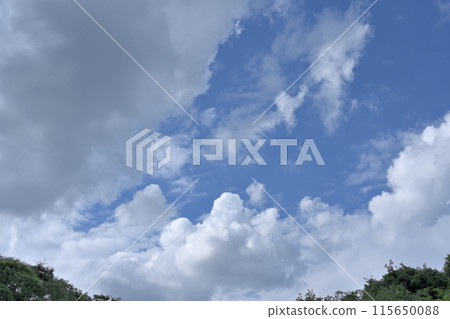 June summer sky June summer sky 115650088