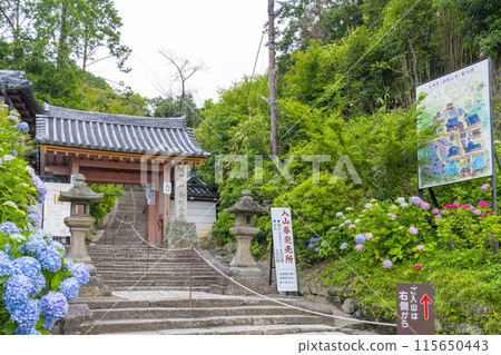 Nara, Yatadera Temple, Sanmon Gate, Hydrangeas in full bloom Nara, Yatadera Temple, Sanmon Gate, Hydrangeas in full bloom 115650443