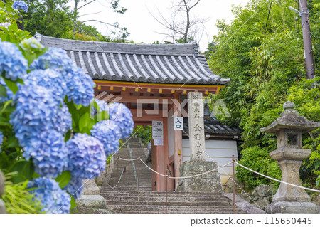Nara, Yatadera Temple, Sanmon Gate, Hydrangeas in full bloom 115650445
