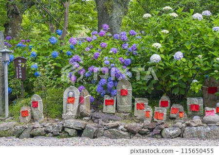 Nara Yatadera Temple: Jizo and hydrangeas Nara Yatadera Temple: Jizo and hydrangeas 115650455