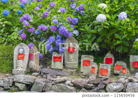 Nara Yatadera Temple: Jizo and hydrangeas 115650456