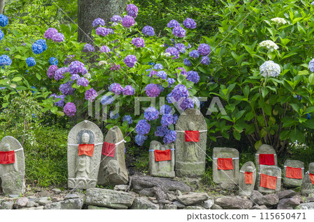 奈良亞達德拉地藏雕像與繡球花 115650471