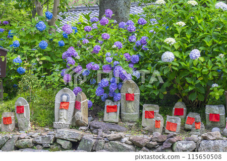 奈良亞達德拉地藏雕像與繡球花 奈良亞達德拉地藏雕像與繡球花 115650508