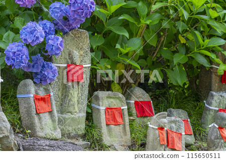 奈良亞達德拉地藏雕像與繡球花 奈良亞達德拉地藏雕像與繡球花 115650511