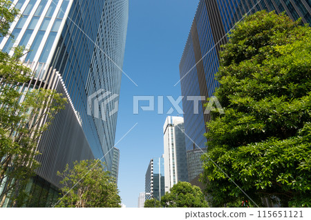 Landscape of the office town looking up at a skyscraper 115651121