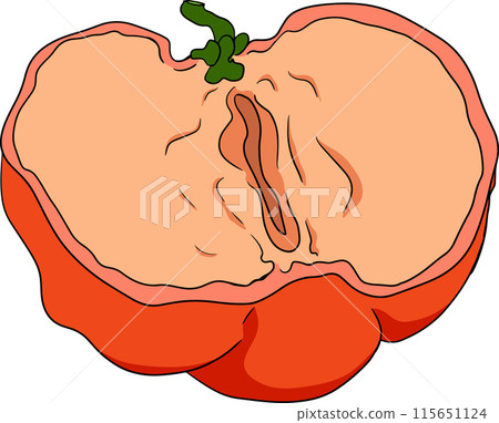 Hand drawn coloring red acerola berry, barbados cherry, Malpighia emarginata. 115651124