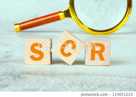SCR word word is assembled from wooden cubes with a magnifying glass in the background SCR word word is assembled from wooden cubes with a magnifying glass in the background 115651223