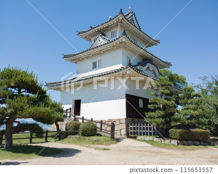 丸龜城塔在藍天的襯托下閃閃發光 115651557