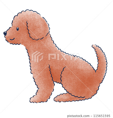 側面色鉛筆手繪的坐著的玩具貴賓犬插圖 115651595