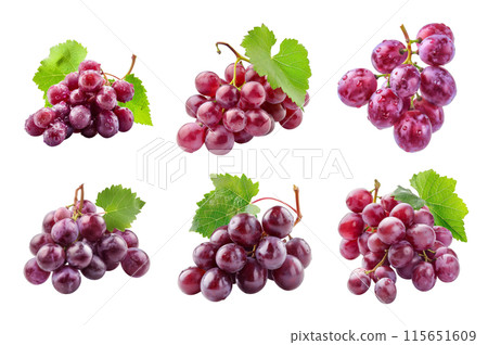 Grapes Collection Bundle Set Isolated on a transparent background 115651609
