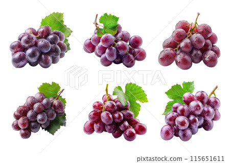 Grapes Collection Bundle Set Isolated on a transparent background Grapes Collection Bundle Set Isolated on a transparent background 115651611