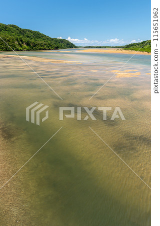 Clear waters river. Iriomote Island 115651962