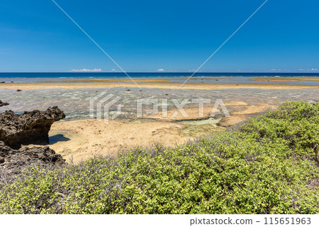 Okinawa beach at low tide. 115651963