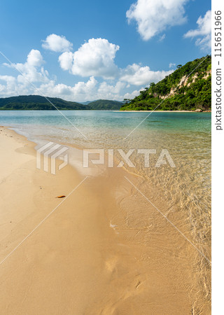 Calm beach in the morning. Iriomote island, Okinawa. 115651966