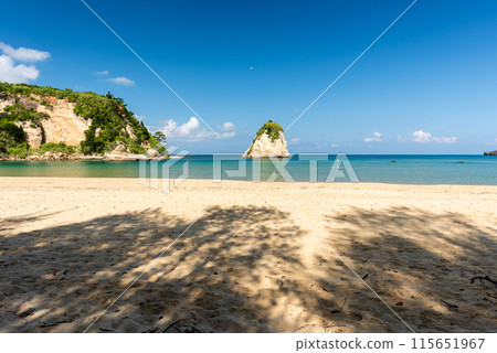 Leisure at the tropical sea Leisure at the tropical sea 115651967