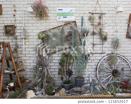 A stylish country-style wall by the window 115652017