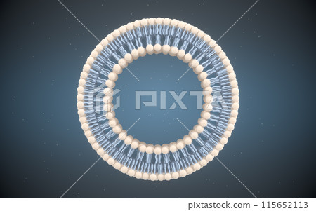 protoplasm, lipids, medical 115652113
