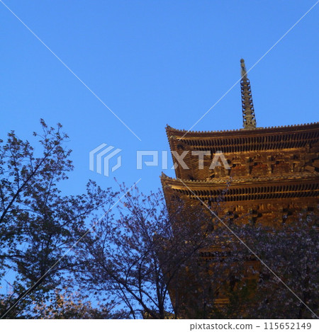 Toji 5-storied pagoda Toji 5-storied pagoda 115652149