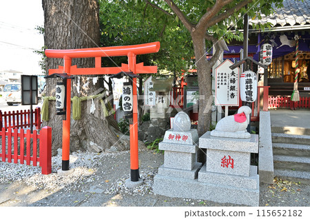 Walking around Konosu-juku on the Nakasendo road: Kono Shrine, Konomiya, Motomiyacho, Konosu city Walking around Konosu-juku on the Nakasendo road: Kono Shrine, Konomiya, Motomiyacho, Konosu city 115652182