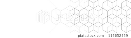 Abstract geometric background with isometric blocks, polygon shape pattern Abstract geometric background with isometric blocks, polygon shape pattern 115652339