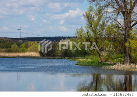 Flowers bloom in spring, blue sky and white clouds are reflected in the lake Flowers bloom in spring, blue sky and white clouds are reflected in the lake 115652485