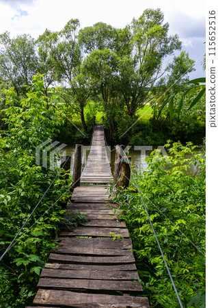 Suspension bridge, walkway to the adventurous, cross to the other side Suspension bridge, walkway to the adventurous, cross to the other side 115652516