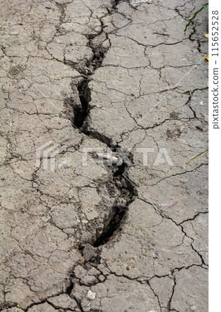 Wall texture soil dry crack pattern of drought lack of water of nature brown old broken background Wall texture soil dry crack pattern of drought lack of water of nature brown old broken background 115652528