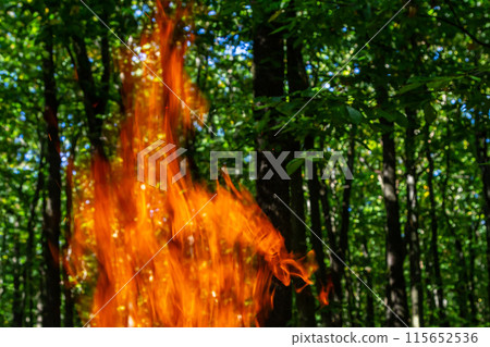 Flame of charcoal fire. Hearth for cooking and heating. Danger in forest 115652536